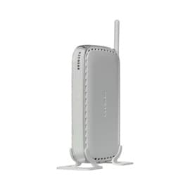 Netgear WN604