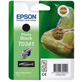 Epson Singlepack Black T0341 Ultra Chrome
