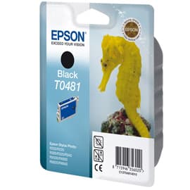 Epson Singlepack Black T0481